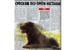 meda romanijski - Srpski odbrambeni pas SOP