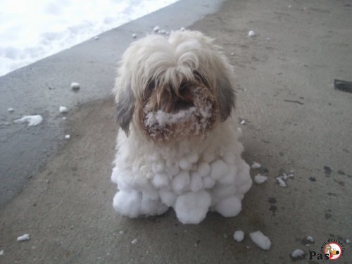 puffy