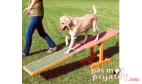 Agility