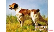Epanjel Breton