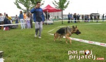 Izazov izlaganja
