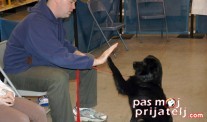 Lek protiv usamljenosti i depresije