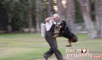 Nervoza zbog gazde