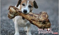 Njegova koska
