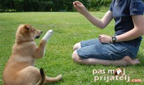 Obuka od prvog dana