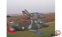 Psi i avioni