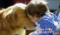 Psi pospešuju društvenu integraciju