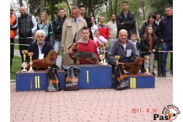 Dugodlaki jazavičar - intervju