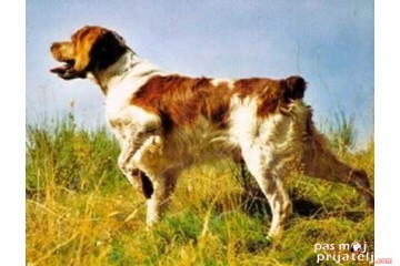 Epanjel Breton
