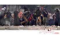 Neverovatni pas demostrant